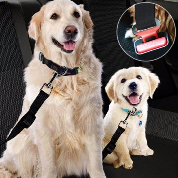 Nastavitelný bezpečnostní pás pro psa